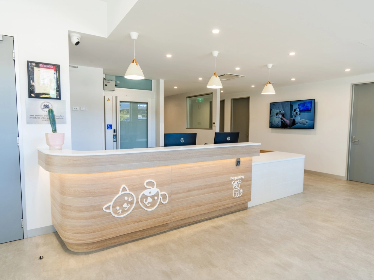 Sydney Pet Dentistry Hospital - reception
