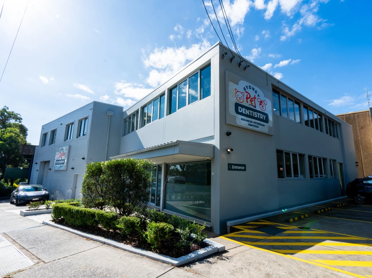 Sydney Pet Dentistry Hospital - outside view